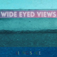Wide Eyed Views