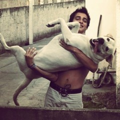 Maikon - Iris Goo Goo DOGS cover