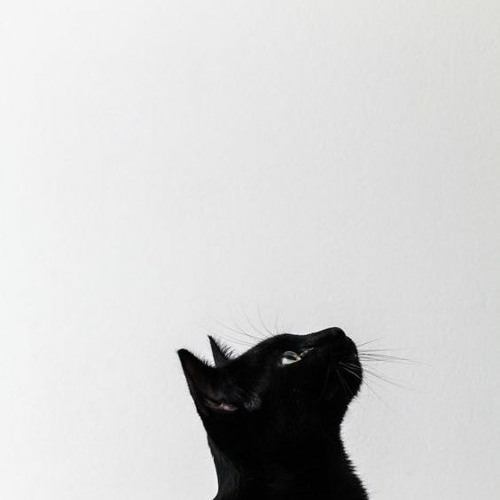 Up And Down
