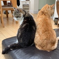 Scrap and Or/Dark Green Sky (2020)