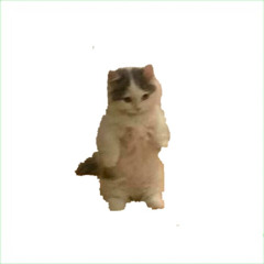 10000000