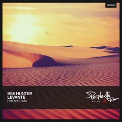 Bee Hunter - Levante (Extended Mix)