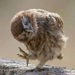 i just dance