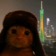 sabi mia boyka - bazovyi minimum (hoodtrap)