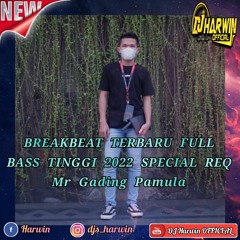 BREAKBEAT TERBARU FULL BASS TINGGI 2022 SPECIAL REQ Mr Gading Pamula - DJ Harwin