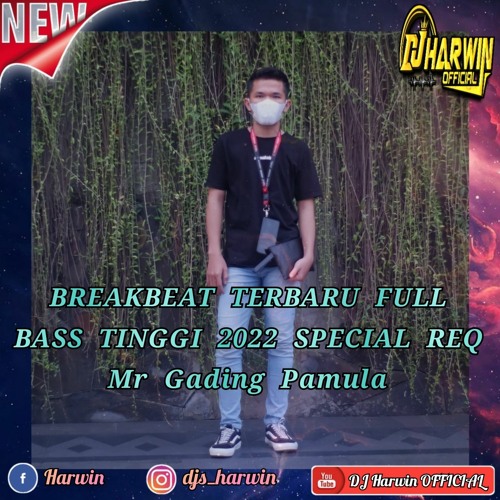 BREAKBEAT TERBARU FULL BASS TINGGI 2022 SPECIAL REQ Mr Gading Pamula - DJ Harwin