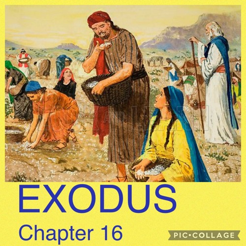 Stream episode Exodus 16 - Bread From Heaven by COGA Knows His Word Daily  podcast | Listen online for free on SoundCloud