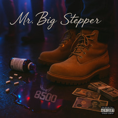 Mr.Big Stepper