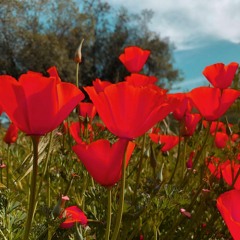 better when im drunk