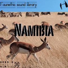 Namibia Faunethic sound library preview