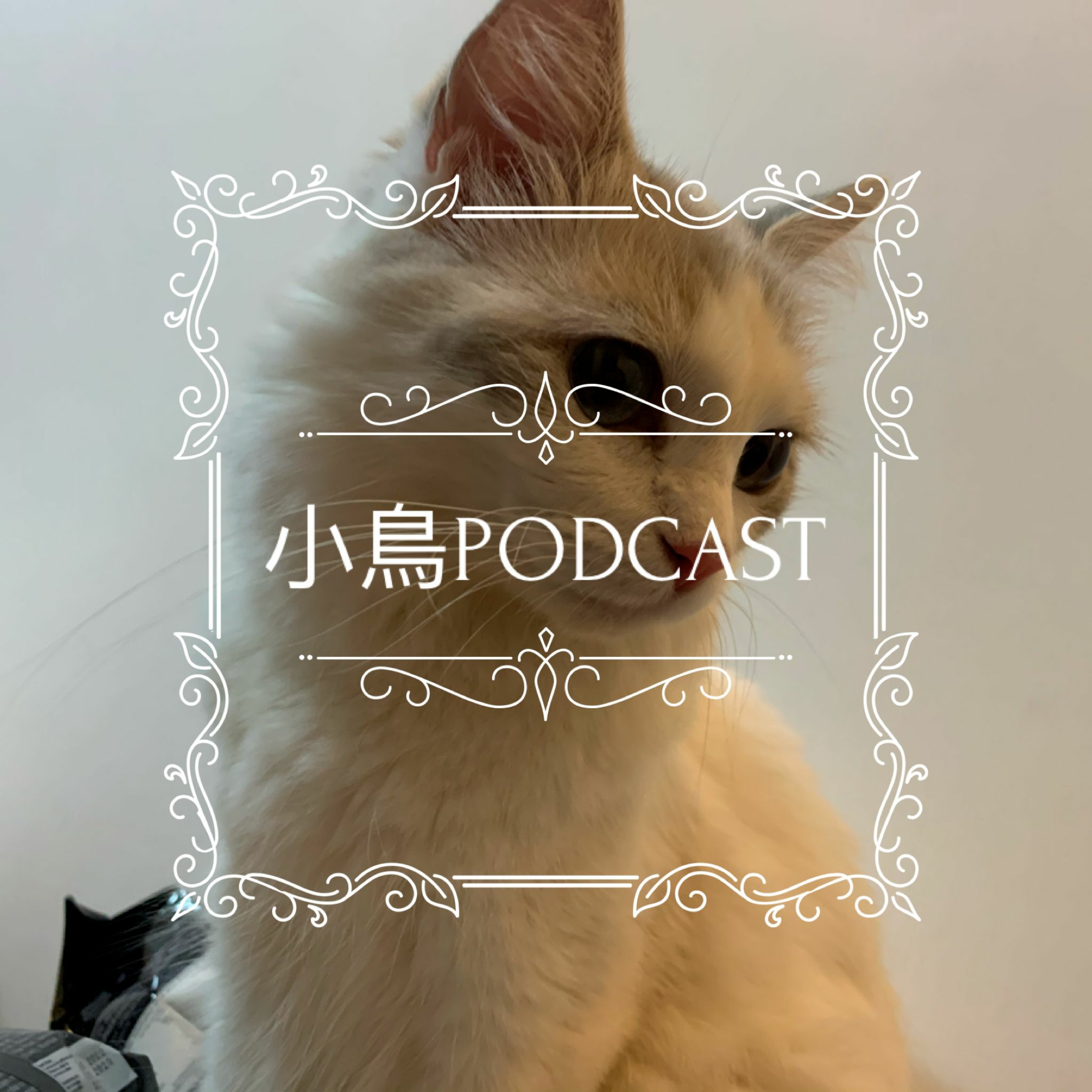 小鳥信箱 —— 躁狂抑鬱對談錄是否真的曾經發生? 公立醫院醫生診症時間不是十分倉猝嗎?