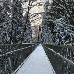 Burn Bridges