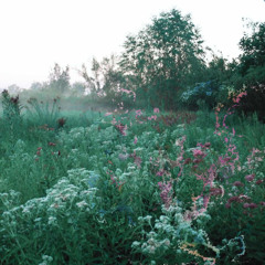 Milkweed (Naiad) (The Emerald Fae 140 Breaks Remix)