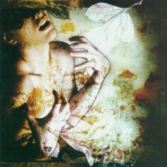 Party On The Interstate