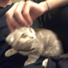 vertigoth (@vertiwtf) - tendoorsdown (dragon)