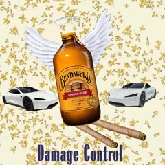 DAMAGE CONTROL