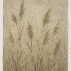 reed