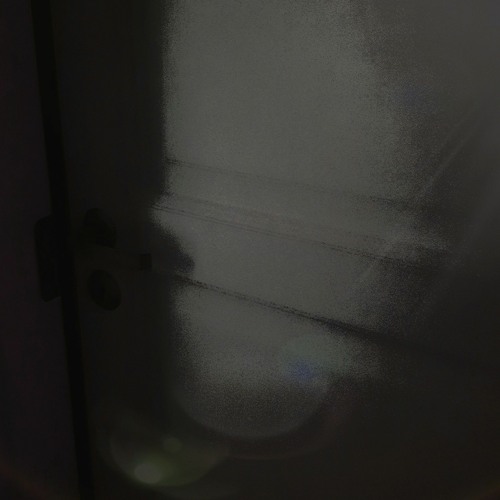 Cellardoor