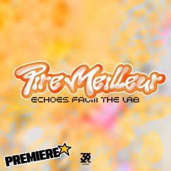 PREMIERE: Pire Meilleur - Twisted Clouds [Echoes From The Lab EP]