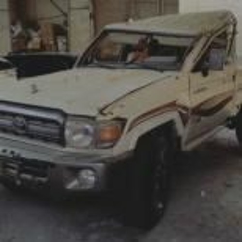 بدر الحبيش