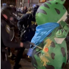 We’re the Frogs (Portland, Oregon Peaceful Protest Anthem for the War Ravaged city)