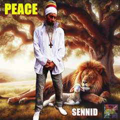 SENNID & JOSH GRENNAN BEATS MUSIC - PEACE