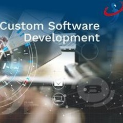 WHAT IS THE PURPOSE OF SOFTWARE DEVELOPMENT COMPANY?