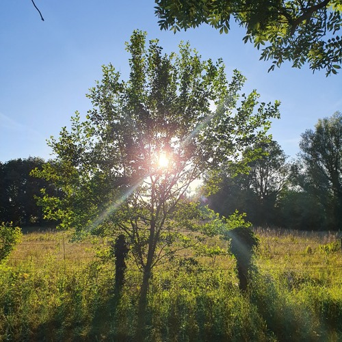 Holmz - Summer Riddims