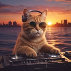 Sunset Set 1 - Improvised Jam