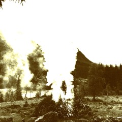 Slagkraft testvox FX2 V2