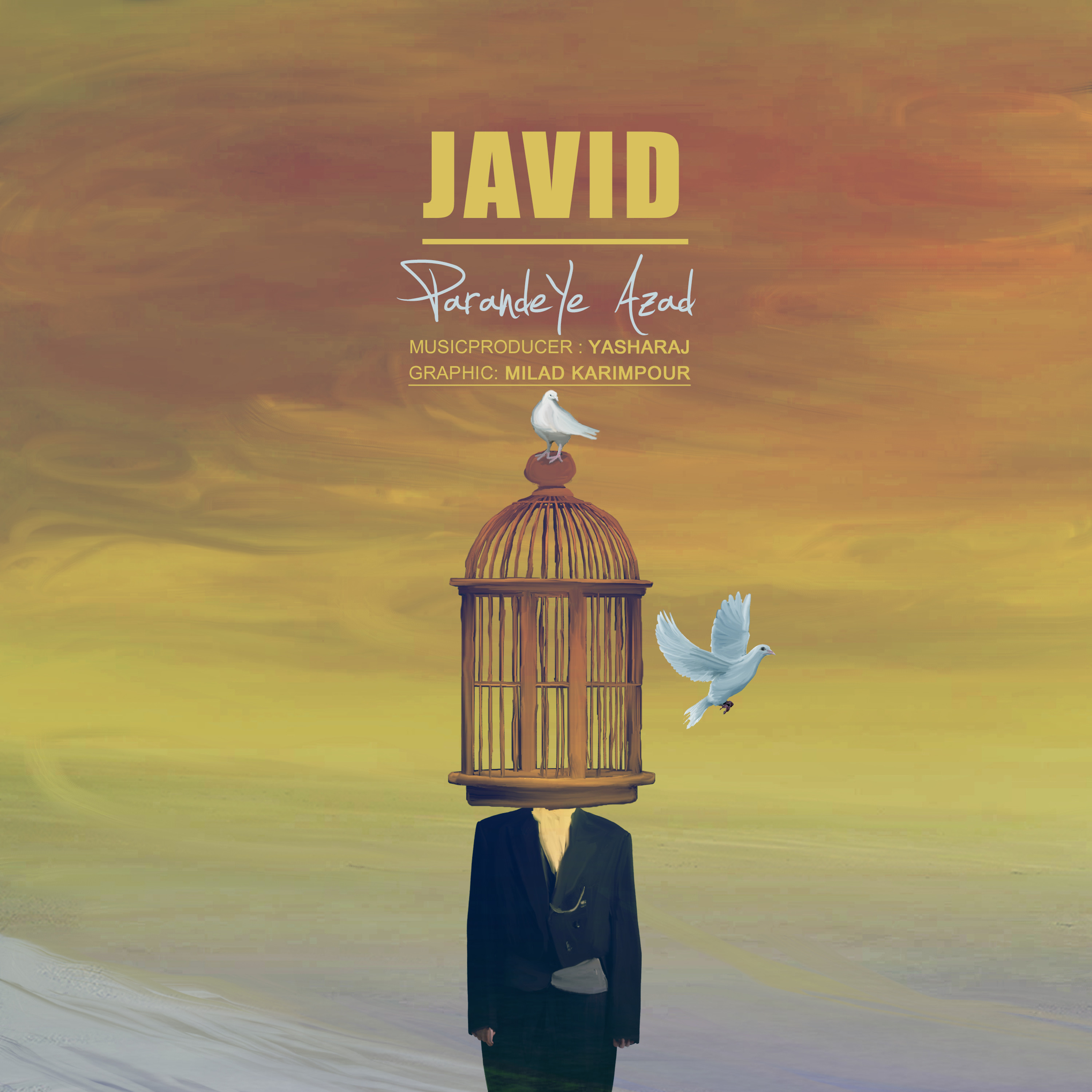 Javid Rostami