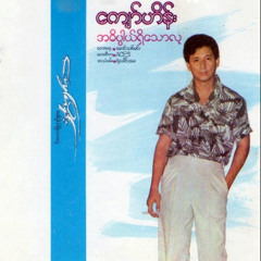 သင်္ချိုင်းထဲကအမှန်တရားများ