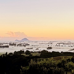 Te Wehi - Unaware