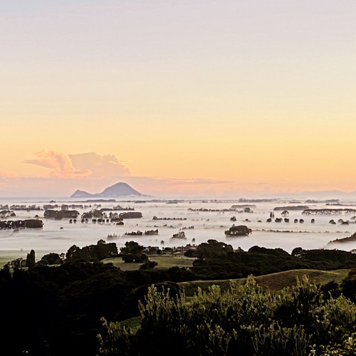 Te Wehi - Unaware