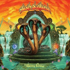 *Cover* Crop Circles - Tash Sultana