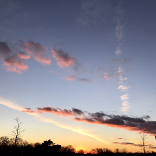 DoSeS - life could be simpler