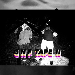 GNF TAPE II