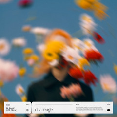blaank, DTT Felix - challenge