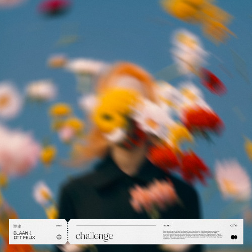 blaank, DTT Felix - challenge