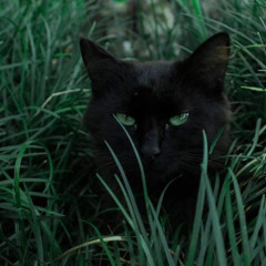 ‎⁨من قال ماعندي طموح - بدر شعيبي ⁩