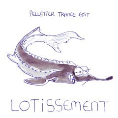 LOTISSEMENT - ISHA & Limsa d'Aulnay (PELLETIER edit)