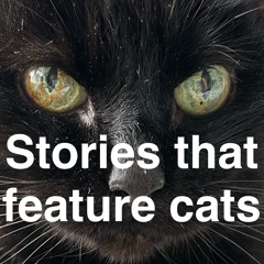 Stories that feature cats