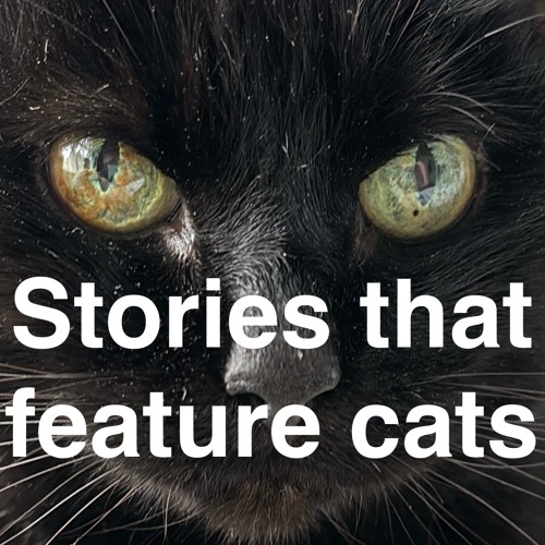 Stories that feature cats