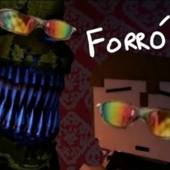 MEU TEMPO ACABOU VERSÃO FORRÓ