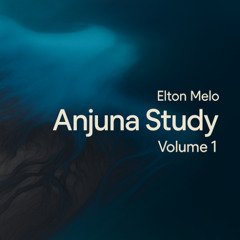 Anjuna Study, Volume 1