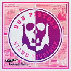 Dub Pistols - Stand Together Feat Rhoda Dakar (Guimsinho Musica Remix).wav