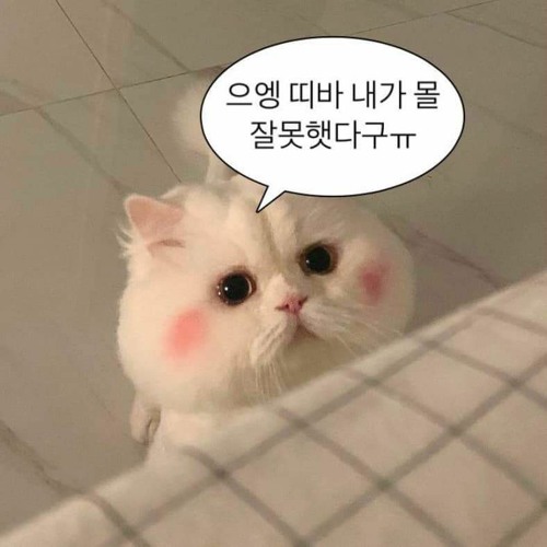 나의 사랑아 (Prod. 정현욱).m4a