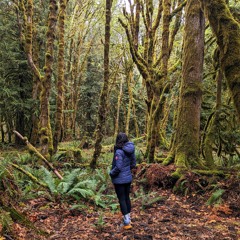 Sajna Barse Hai Kyu Akhiyaan..