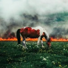 indie tribe - HOLY SMOKE! (nobigdyl. x Jon Keith)