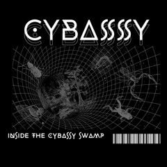 inside the cybassy swamp